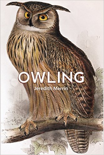 Owling by Jeredith Merrin Cover