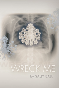 wreck_me_cover