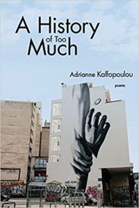 Cover for A History of Too Much by Adrianne Kalfopoulou 