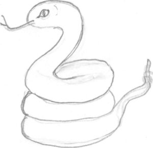 Aunt's Snake Drawing