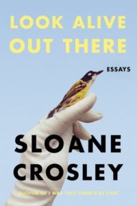 Sloane Crosley's Look Alive Out There Cover