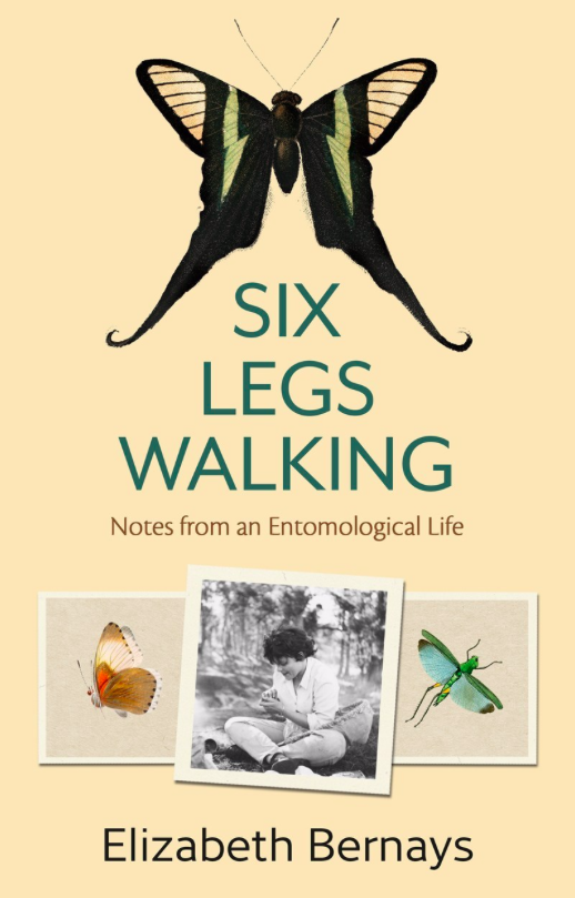 book cover for Six Legs Walking