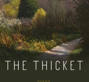 The Thicket cover